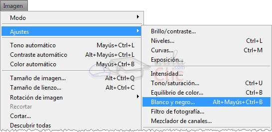 Blanco y negro