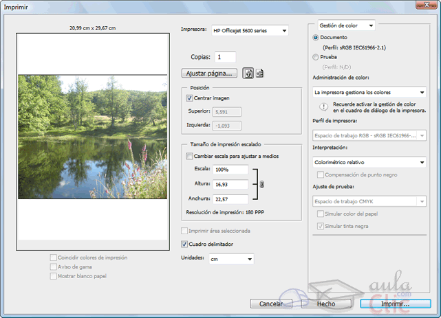 Cuadro de diálogo de Imprimir con vista previa