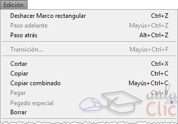 Comandos en el menú Edición