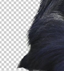 resultado