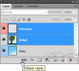 ¿Dónde se enlazan las capas?