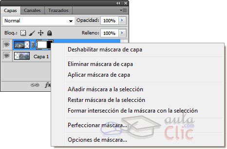 Opciones de máscara de capa